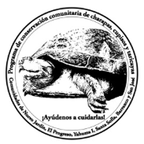 Logo Asociación Curuinsi Huasi